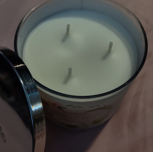 NEW!! GOOSE CREEK 3 Wick Candle 14.5oz (Honeysuckle & Green Apple) - Picture 3 of 9